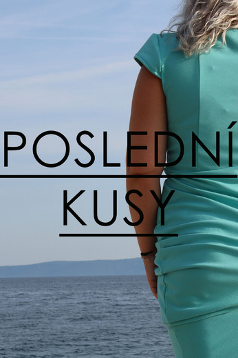 POSLEDNÍ KUSY TITULKA.jpg